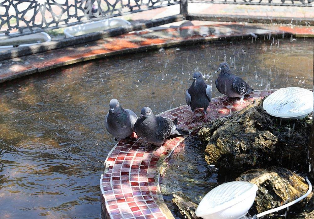 Trakya kavruluyor - Resim: 9